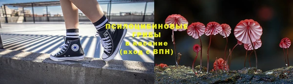 ГАЛЛЮЦИНОГЕННЫЕ ГРИБЫ Нефтекумск