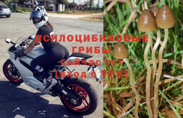 бутират Нягань