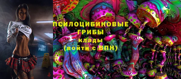 индика Наволоки