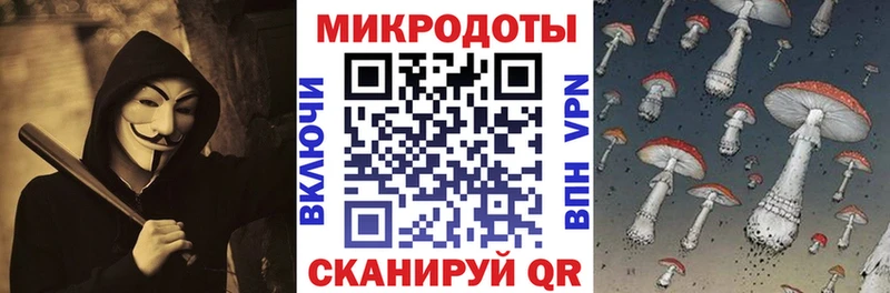 KRAKEN сайт  Калтан  Галлюциногенные грибы MAGIC MUSHROOMS 