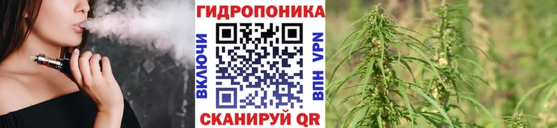 Бошки Шишки индика  Калтан 